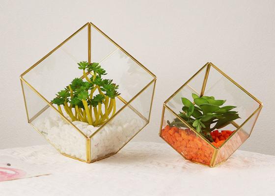 Micro landscape glass artifact cover display box house succulent plant eternal flower box kids gift wholesale