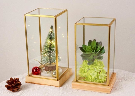 Glass artifact succulent cover copper golden gife package box jewelry accessories window display box Yiwu wholesale