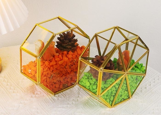 Creative golden glass artifact windows display box garden dried flowers green plants succulent plant ornaments