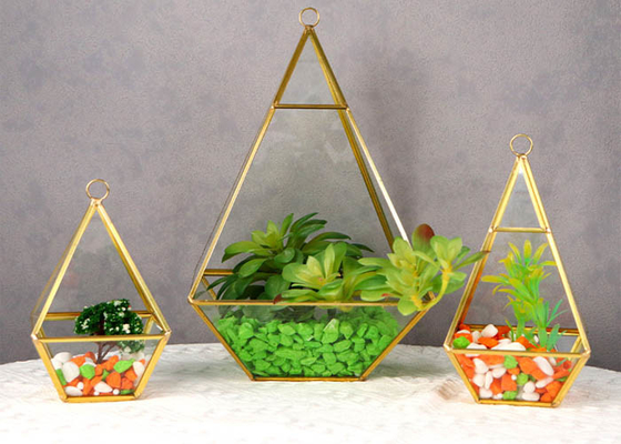 Glass artifact gold diamond succulent flower stone room immortal flower room ins glass storage box wholesale